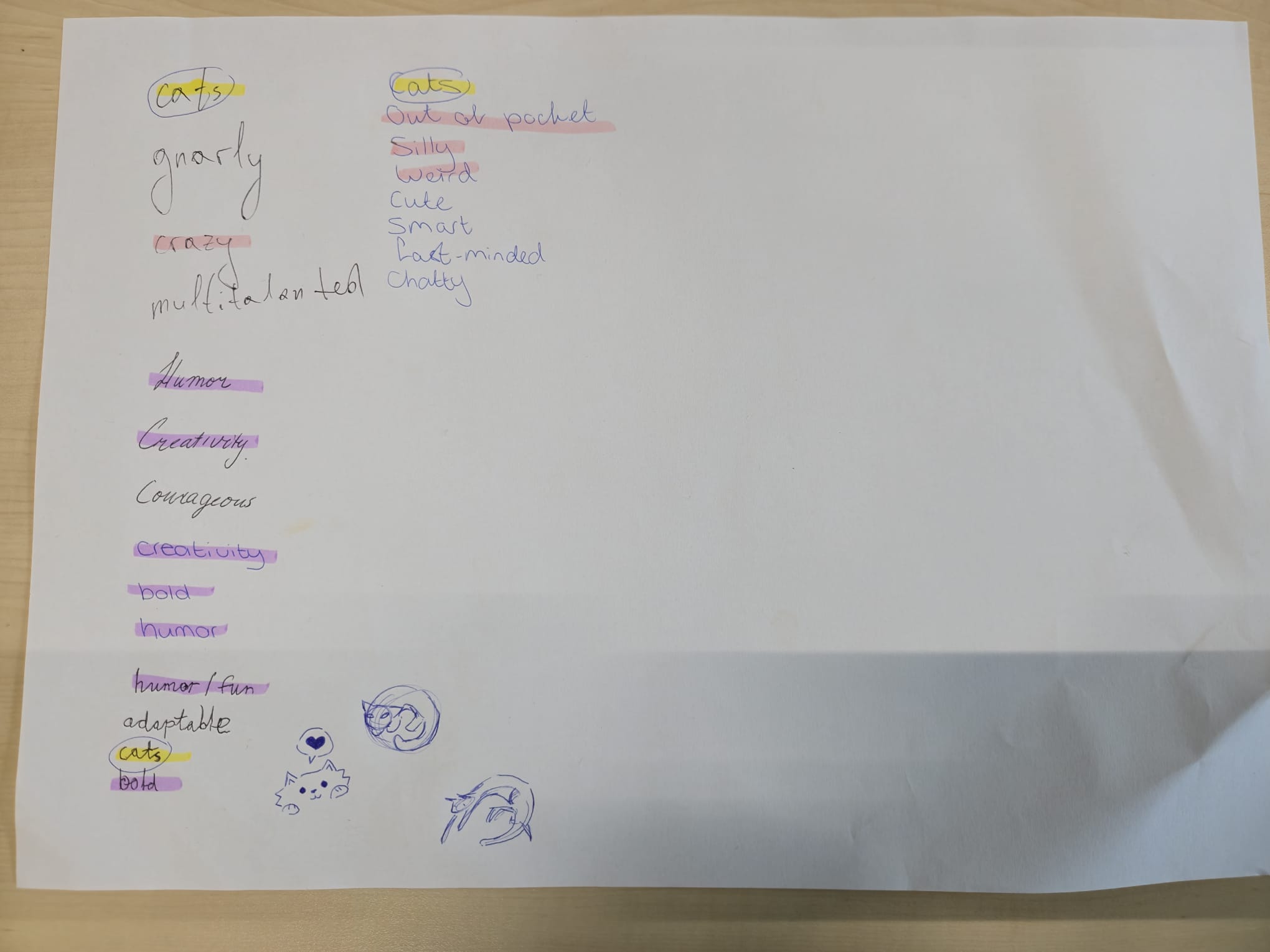 Photo of the brainstorm