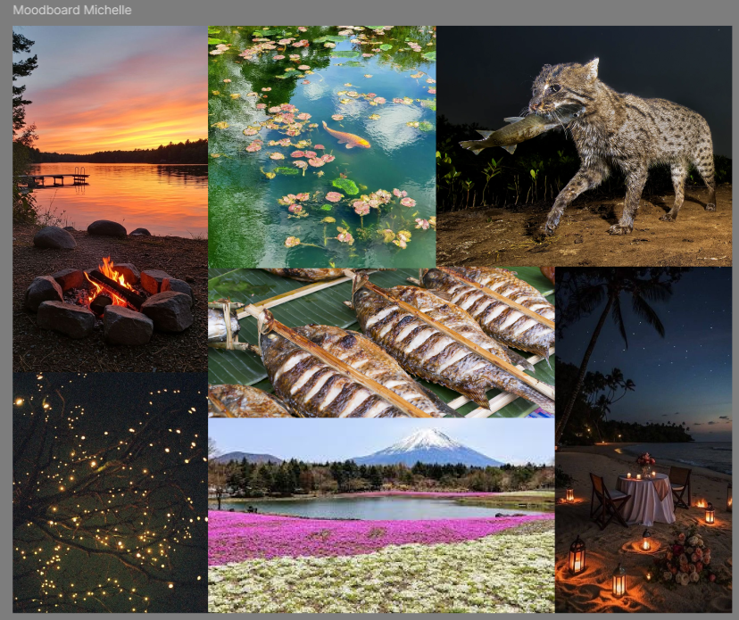 Moodboard for the campfire concept