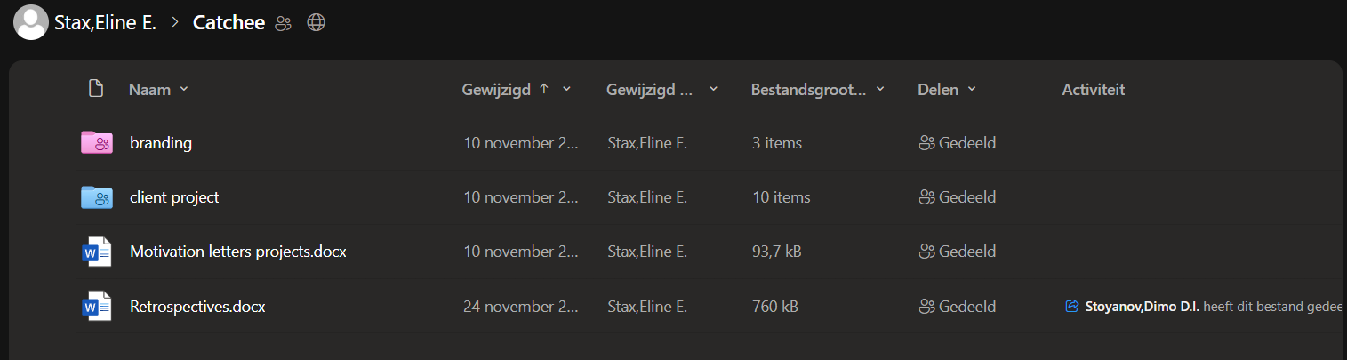 Screenshot of our shared OneDrive